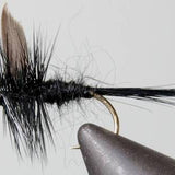 Black Gnat - Black Tail or Red Tail