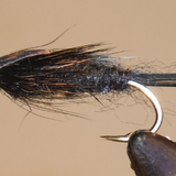 Giant Stonefly Nymphs
