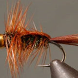 BH Halfback Stonefly Nymph