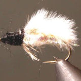 Caddis Pupa