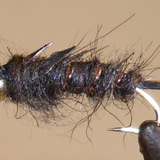 BH Giant Stonefly Nymphs