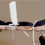 Chernobyl Ant - Black