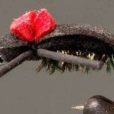 Red Top - Black Foam Beetle