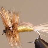 Humpy - 8 Colors