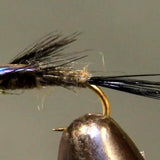 Purple Back Baetis