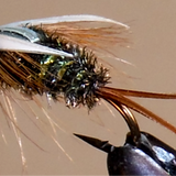 Prince Nymph