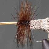 Goddard Caddis