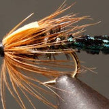 Zug Bug