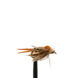 JHFLYCO Loaded Foam Fly Box - Steelhead Assortment