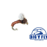 Chocolate Foam Emerger