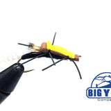 Floating Stonefly