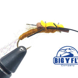 Floating Stonefly