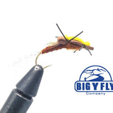 Floating Stonefly