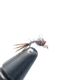 Rainbow Warrior - Tungsten
