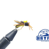 Llano Bug