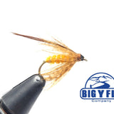 October Caddis Pupa