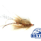 Halo Shrimp