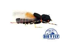 Black cicada fishing lure with detailed wings and curled antennae