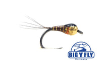 Barbless tungsten nymph fly, gold and black body with trailing fibers