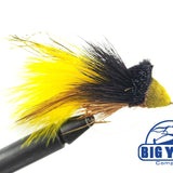 Dahlberg Diver