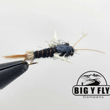 Atepe Bug