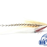 Big Fish Deceiver