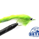 Big Eye Streamer