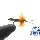 Cinnamon Sedge - Dry Fly