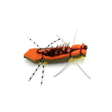 Snake River Chernobyl Ant