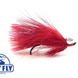 Coho Comet
