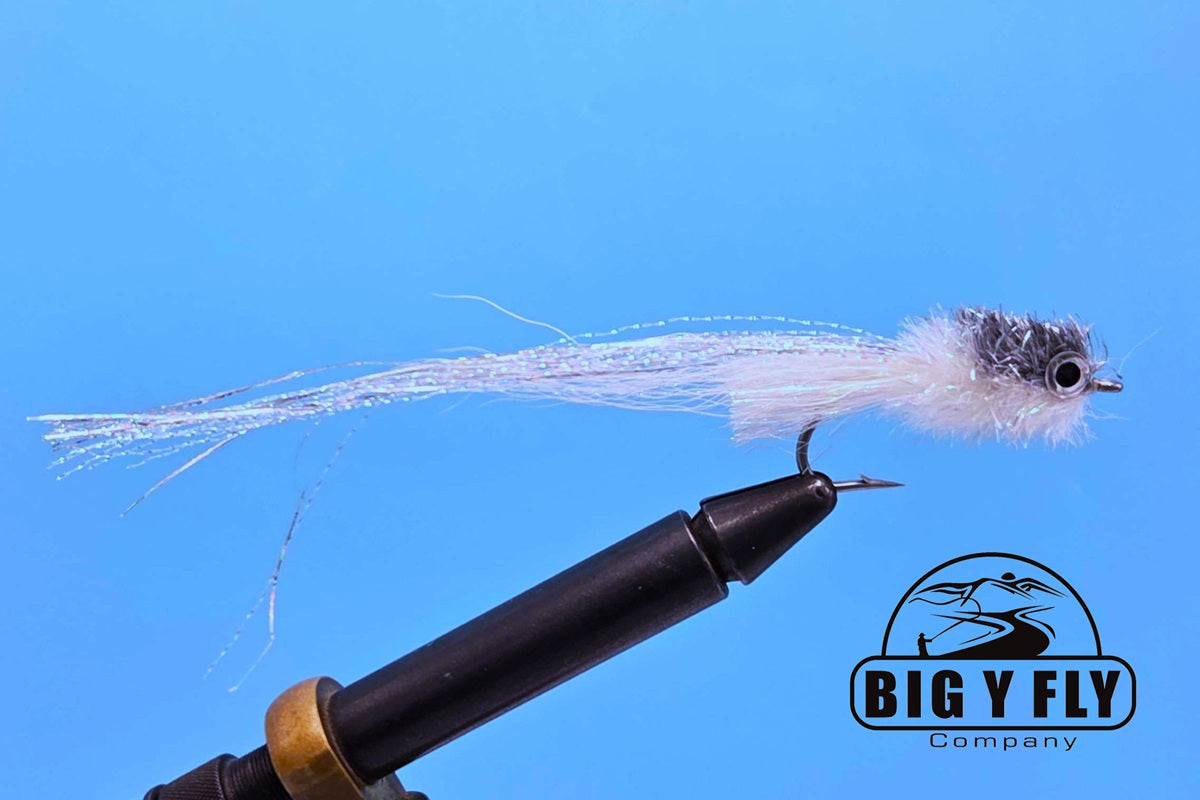 All Species Minnow