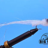 All Species Minnow