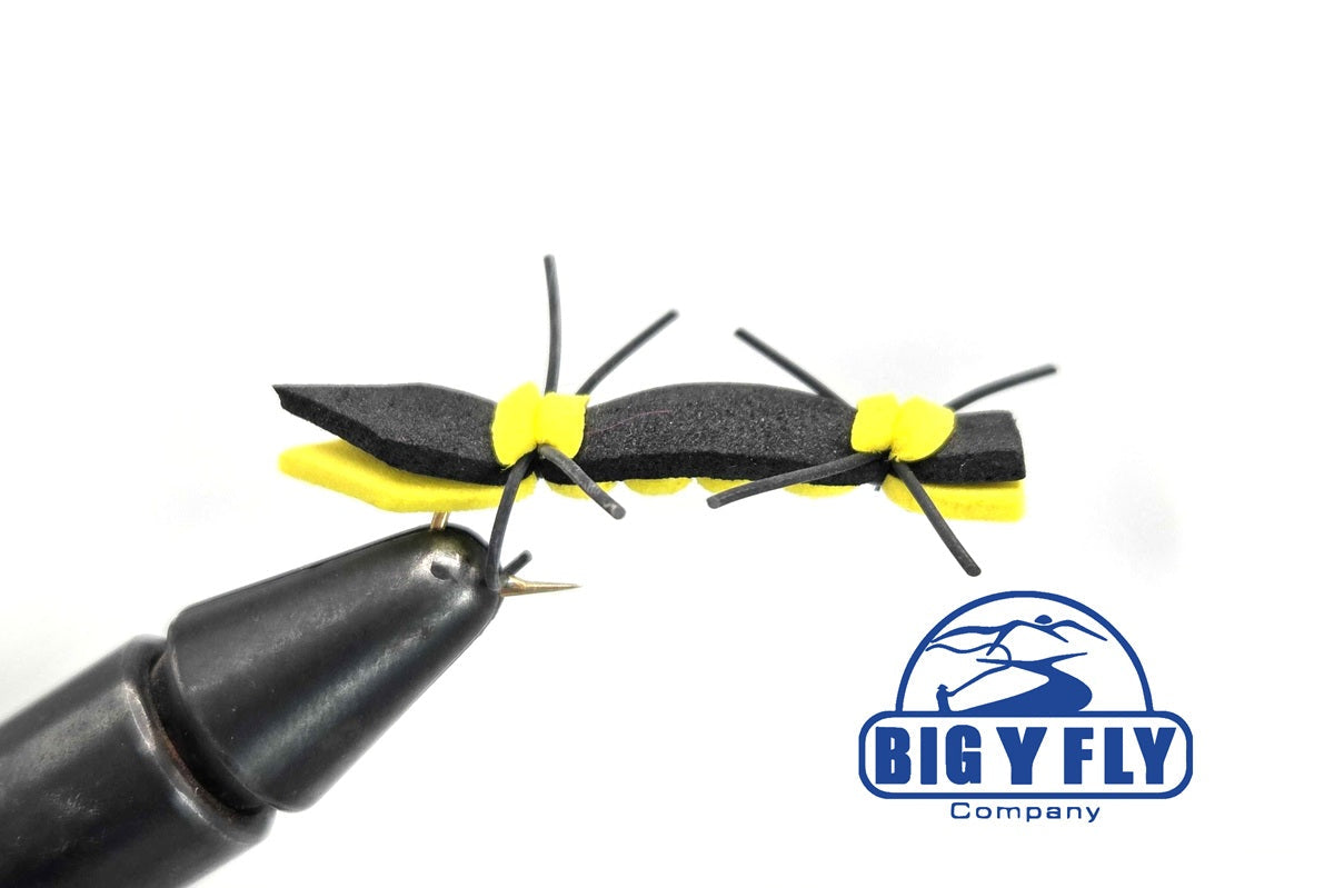 Chernobyl Ant
