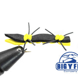 Chernobyl Ant