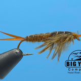 Hellgrammite Brown