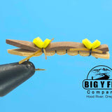 Chernobyl Ant