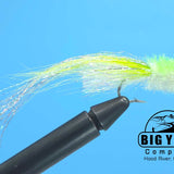 All Species Minnow