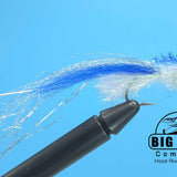 All Species Minnow