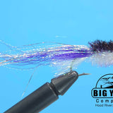 All Species Minnow