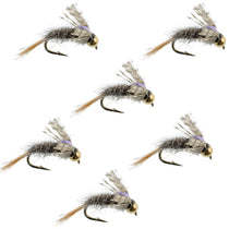 Wet fly fishing flies set, gray fuzzy body, tan legs, gold hook, size 18