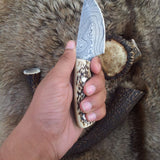Custom Damascus Steel Field Dressing Deer Skinning Knife with Antler Horn Handle – 7 Inch Drop Point Blade