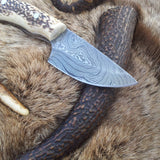 Custom Damascus Steel Field Dressing Deer Skinning Knife with Antler Horn Handle – 7 Inch Drop Point Blade