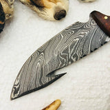 Full Tang Custom Handmade Damascus Steel Gut Hook Skinning EDC Knife