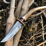 New Custom Handmade Damascus Steel Hunting Skinning Knife