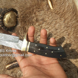 Custom Handmade 9-Inch Damascus Fixed-Blade Hunting Knife with Buffalo Horn Handle & Brass Guard | KBS Knives Store
