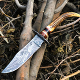 New Custom Handmade Damascus Steel Hunting Skinning Knife