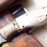 Custom Handmade Damascus Wood-New Zealand Red Stag Hunting Skinning Knife