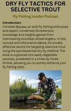 Dry Fly Tactics for Selective Trout eBook | Fly Fishing Insider Podcast