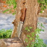 The Hunter's Favorite: 10-Inch Hunting Knife with Damascus Steel Blade, Rosewood Handle, and Damascus Guard