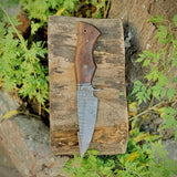 The Hunter's Favorite: 10-Inch Hunting Knife with Damascus Steel Blade, Rosewood Handle, and Damascus Guard
